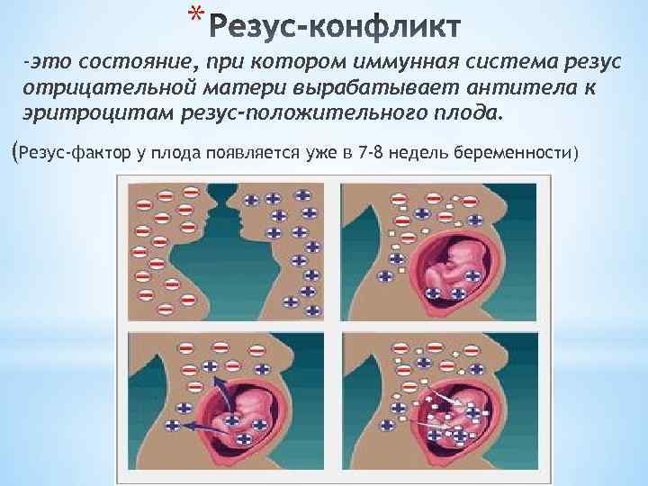 * -это состояние, при котором иммунная система резус отрицательной матери вырабатывает антитела к эритроцитам