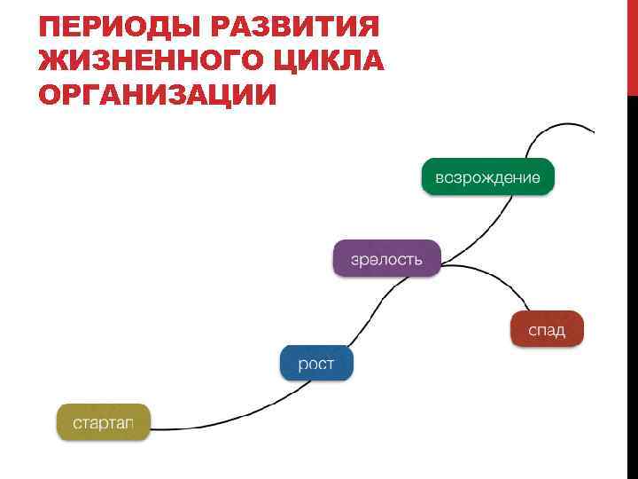 ПЕРИОДЫ РАЗВИТИЯ ЖИЗНЕННОГО ЦИКЛА ОРГАНИЗАЦИИ 