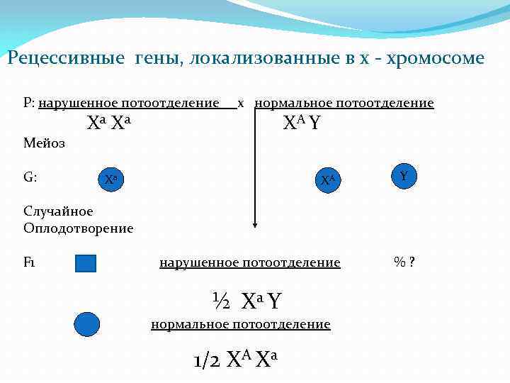 Рецессивные гены, локализованные в х - хромосоме P: нарушенное потоотделение x нормальное потоотделение Ха