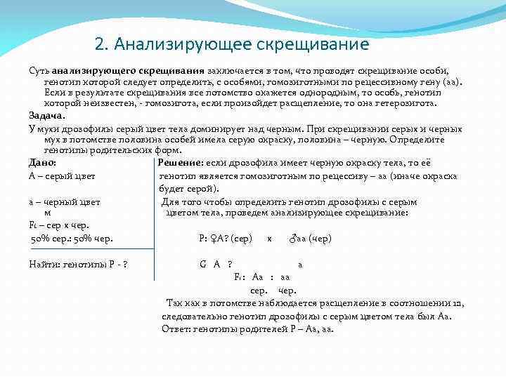 2. Анализирующее скрещивание Суть анализирующего скрещивания заключается в том, что проводят скрещивание особи, генотип