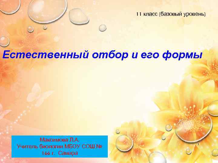 11 класс (базовый уровень) Естественный отбор и его формы Максимова Л. А. Учитель биологии