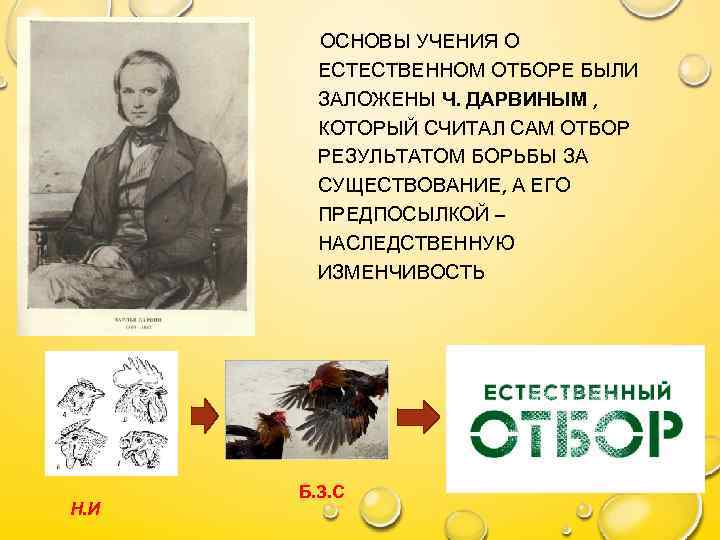 ОСНОВЫ УЧЕНИЯ О ЕСТЕСТВЕННОМ ОТБОРЕ БЫЛИ ЗАЛОЖЕНЫ Ч. ДАРВИНЫМ , КОТОРЫЙ СЧИТАЛ САМ ОТБОР