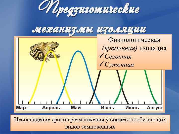 Изолирующие механизмы биология презентация