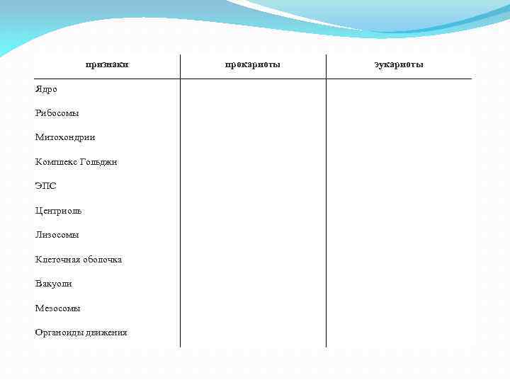 Признак ядро прокариоты и эукариоты. Вакуоли прокариот и эукариот таблица. Вакуоль у эукариотов и прокариоты. Наличие вакуоли прокариот и эукариот. Вакуоль в клетках прокариот эукариот.
