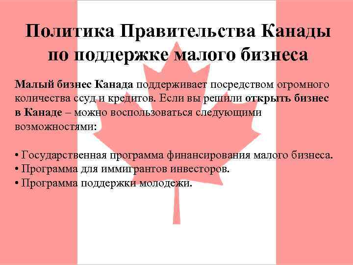 Политика Правительства Канады по поддержке малого бизнеса Малый бизнес Канада поддерживает посредством огромного количества