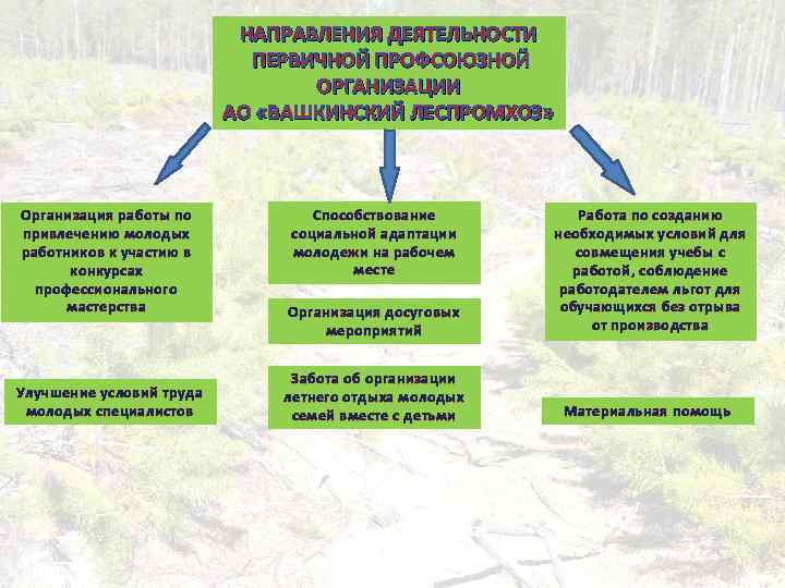 НАПРАВЛЕНИЯ ДЕЯТЕЛЬНОСТИ ПЕРВИЧНОЙ ПРОФСОЮЗНОЙ ОРГАНИЗАЦИИ АО «ВАШКИНСКИЙ ЛЕСПРОМХОЗ» Организация работы по привлечению молодых работников