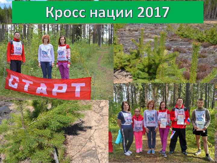 Кросс нации 2017 