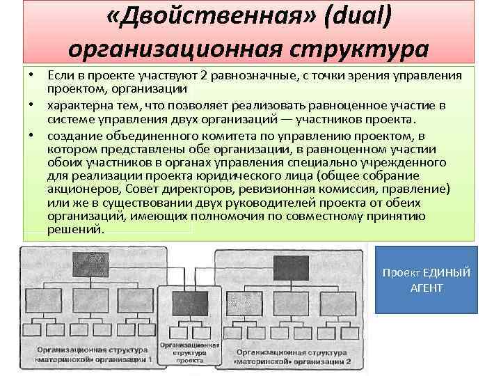 Если в проекте участвуют 2 равнозначные с точки зрения управления проектом организации возникает