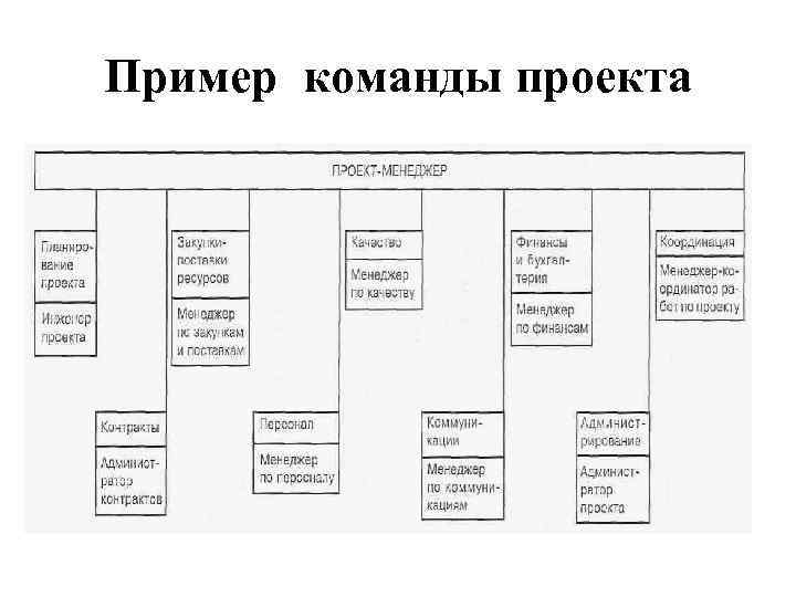 Описание команды проекта пример