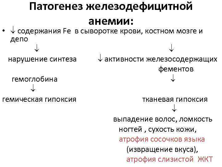 Анемии патофизиология презентация