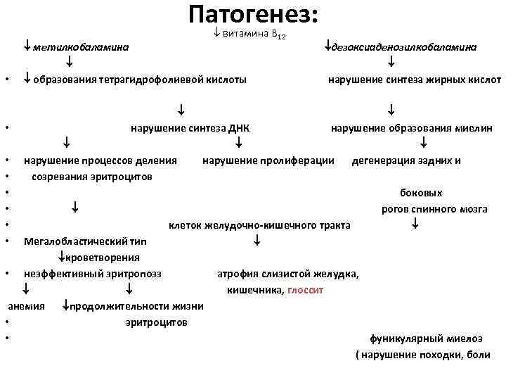 Патогенез: витамина В 12 метилкобаламина дезоксиаденозилкобаламина • образования тетрагидрофолиевой кислоты нарушение синтеза жирных кислот