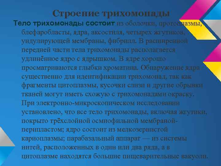 Строение трихомонады Тело трихомонады состоит из оболочки, протоплазмы, блефаробласты, ядра, аксостиля, четырех жгутиков, ундулирующей