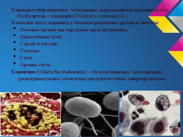 Хламидиоз инфекционное заболевание, передающимся половым путем. Возбудитель – хламидия (Chlamydia trachomatis). . Хламидии могут