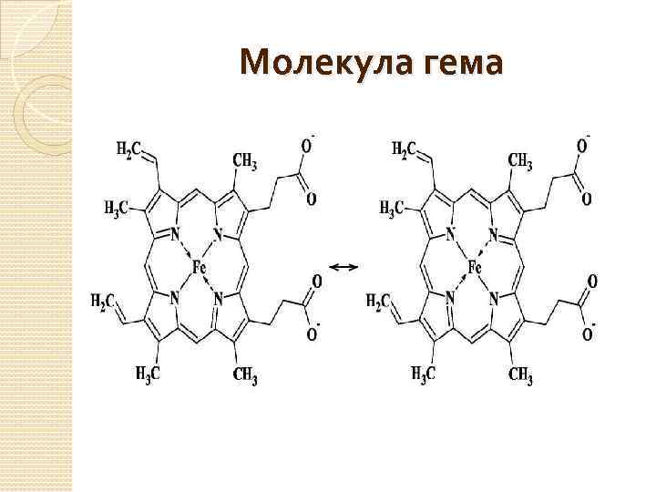 Молекула гема 