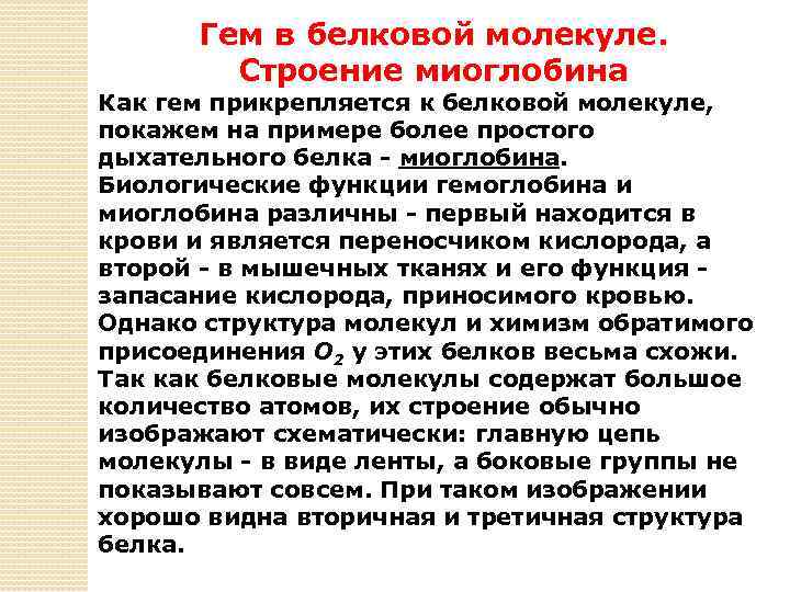 Гем в белковой молекуле. Строение миоглобина Как гем прикрепляется к белковой молекуле, покажем на