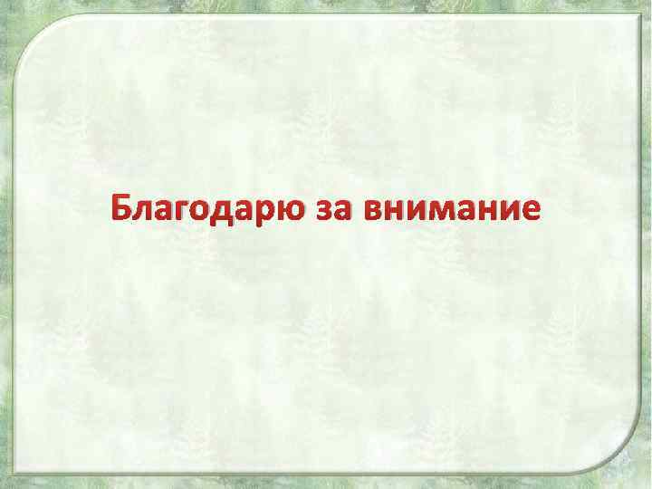 Благодарю за внимание 