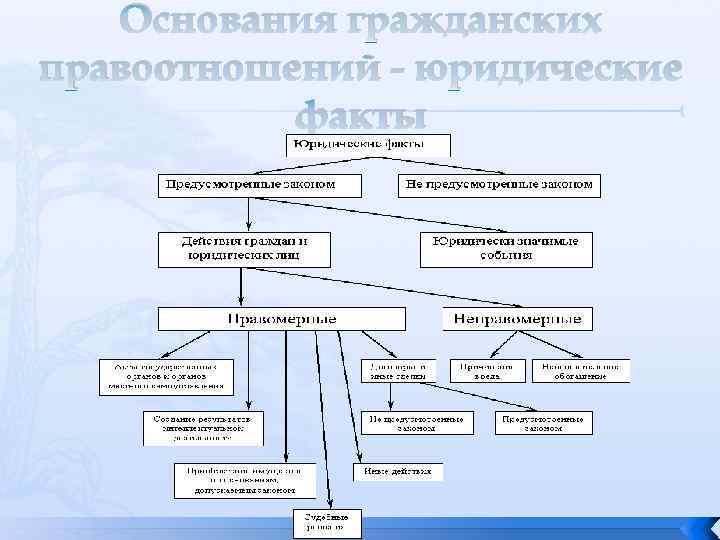 Основания гражданских правоотношений - юридические факты 