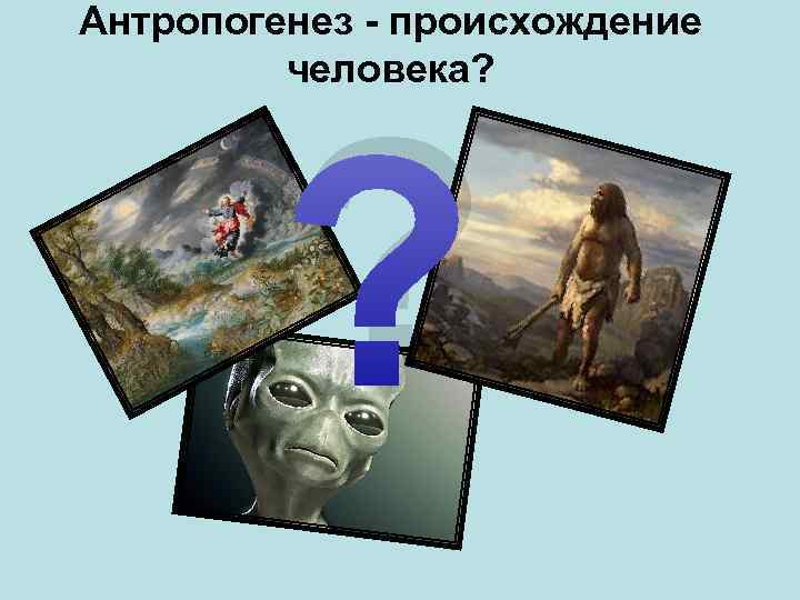 Антропогенез - происхождение человека? ? 