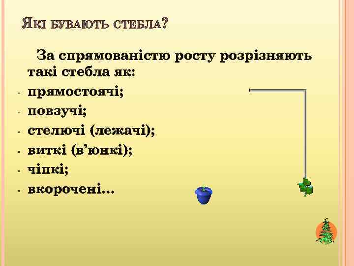 ЯКІ БУВАЮТЬ СТЕБЛА? - За спрямованістю росту розрізняють такі стебла як: прямостоячі; повзучі; стелючі