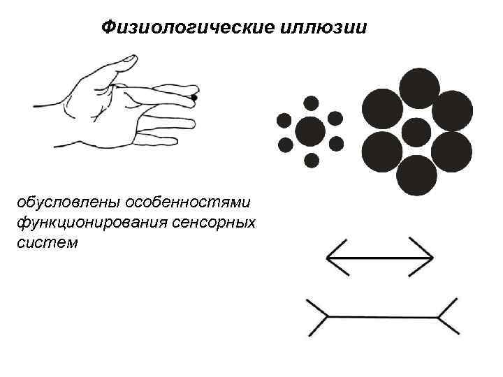 Физиологические иллюзии обусловлены особенностями функционирования сенсорных систем 