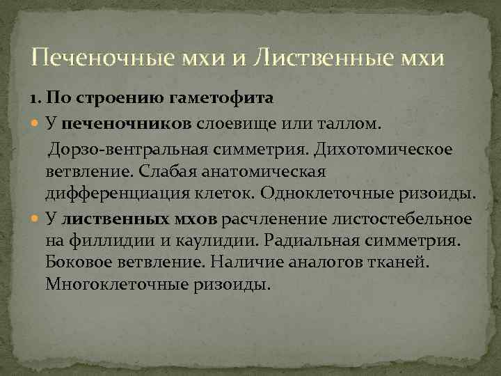 Печеночные мхи и Лиственные мхи 1. По строению гаметофита У печеночников слоевище или таллом.