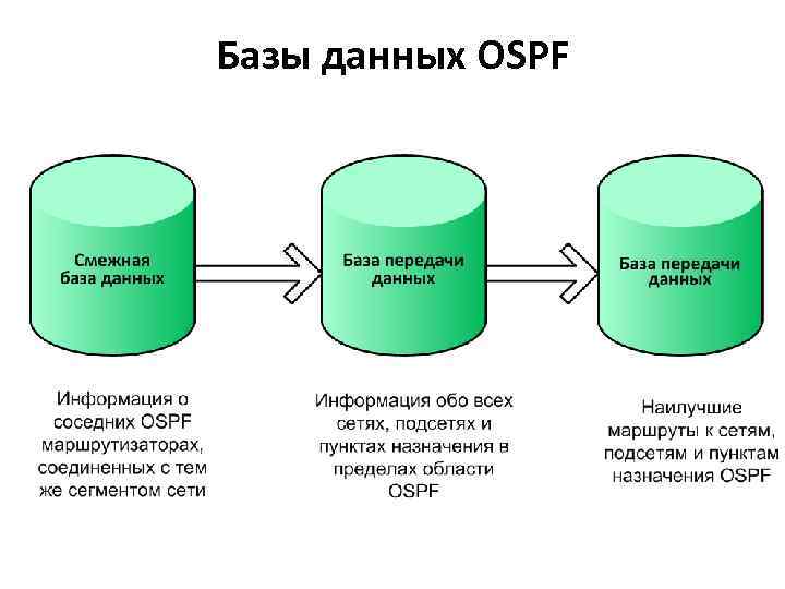 Базы данных OSPF 