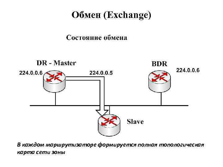 Обмен (Exchange) В каждом маршрутизаторе формируется полная топологическая карта сети зоны 