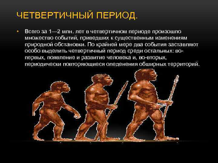 ЧЕТВЕРТИЧНЫЙ ПЕРИОД. • Всего за 1— 2 млн. лет в четвертичном периоде произошло множество
