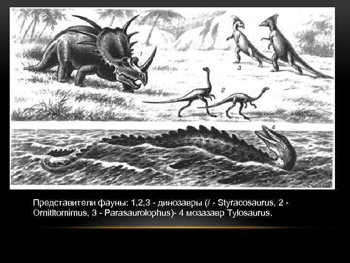 Представители фауны: 1, 2, 3 динозавры (/ Styracosaurus, 2 Ornitltomimus, 3 Parasaurolophus) 4 мозазавр