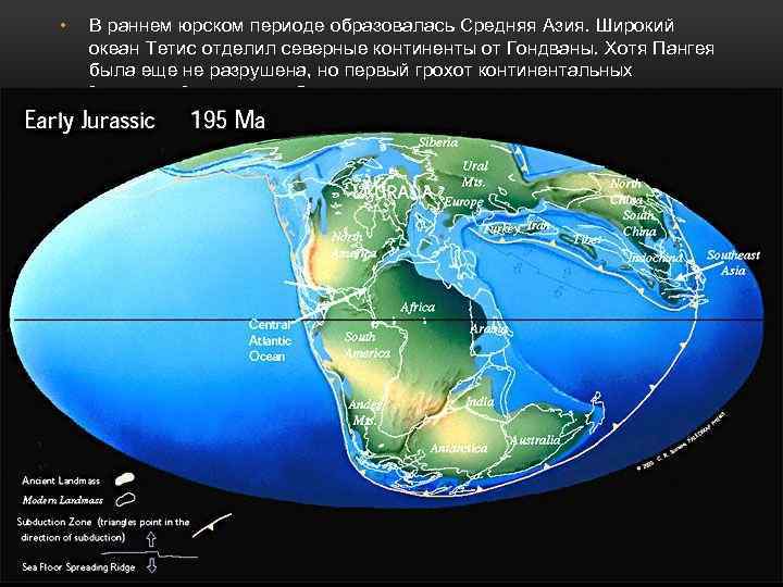 • В раннем юрском периоде образовалась Средняя Азия. Широкий океан Тетис отделил северные