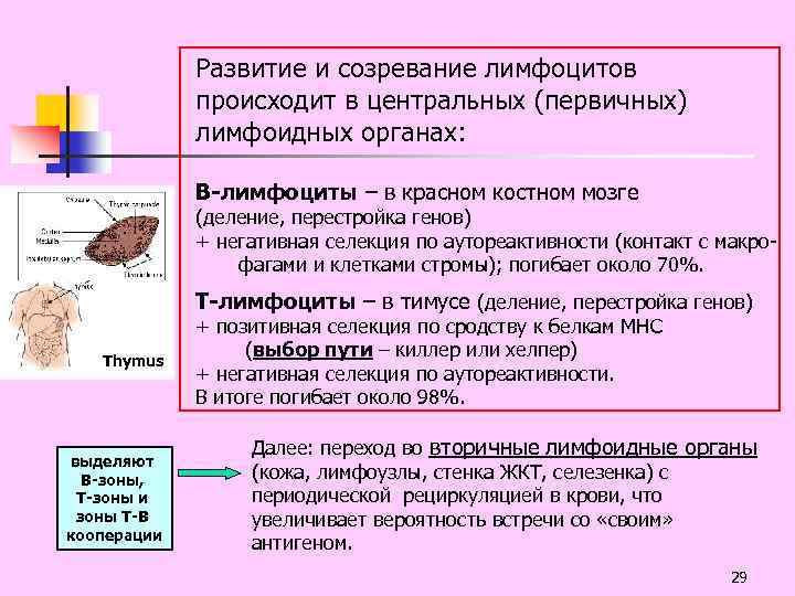 Перестройка генов