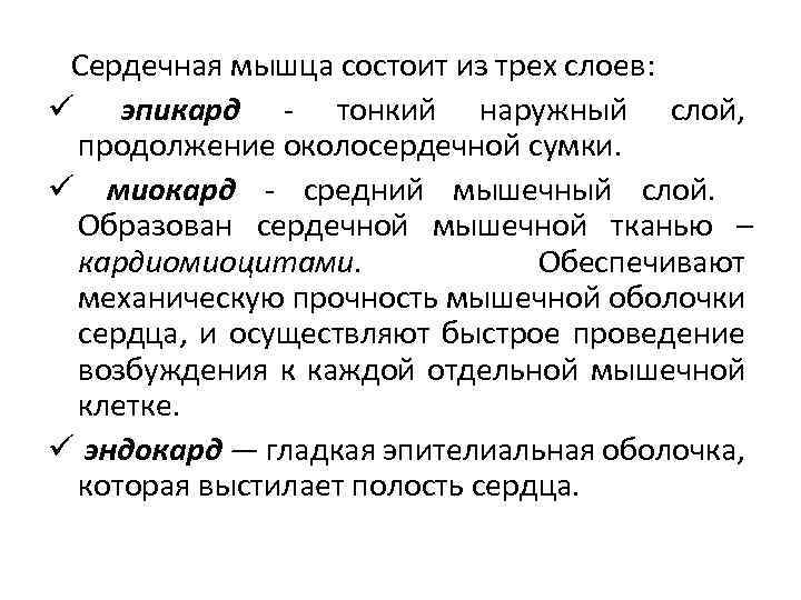 Сердечная мышца состоит из трех слоев: ü эпикард тонкий наружный слой, продолжение околосердечной сумки.