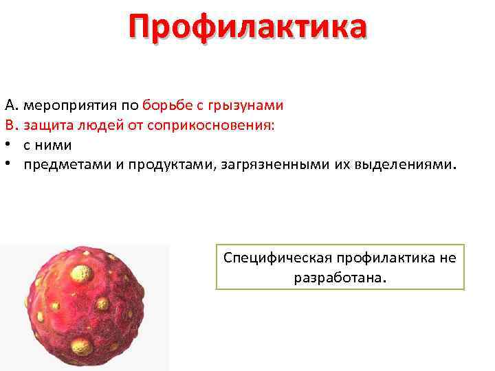 Профилактика A. мероприятия по борьбе с грызунами B. защита людей от соприкосновения: • с