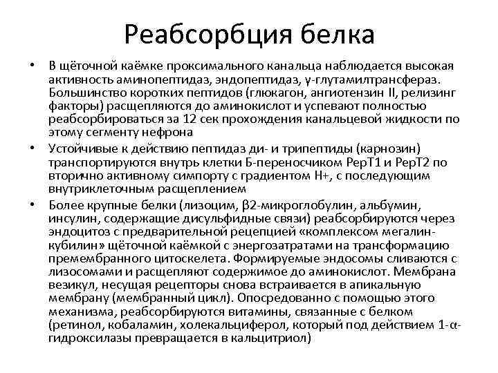 Реабсорбция белка • В щёточной каёмке проксимального канальца наблюдается высокая активность аминопептидаз, эндопептидаз, γ-глутамилтрансфераз.