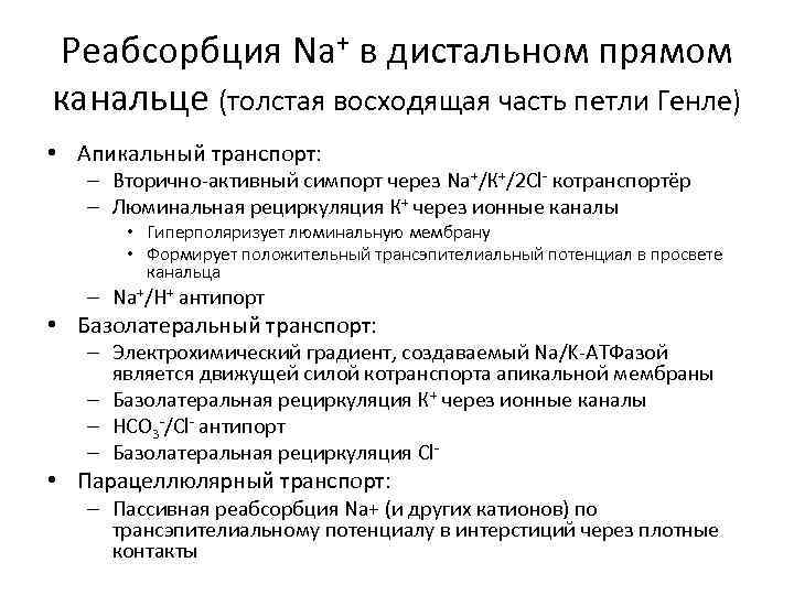 Реабсорбция Na+ в дистальном прямом канальце (толстая восходящая часть петли Генле) • Апикальный транспорт: