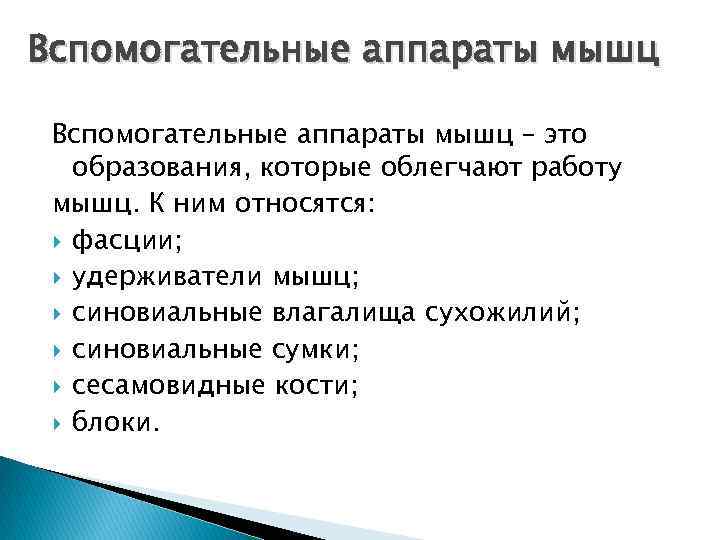 Вспомогательные аппараты мышц – это образования, которые облегчают работу мышц. К ним относятся: фасции;