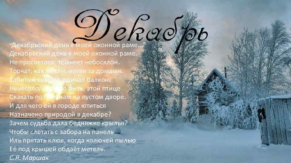 “Декабрьский день в моей оконной раме. . . ” Декабрьский день в моей оконной