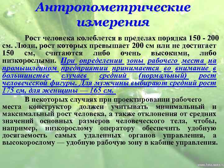 Антропометрические измерения Рост человека колеблется в пределах порядка 150 - 200 см. Люди, рост