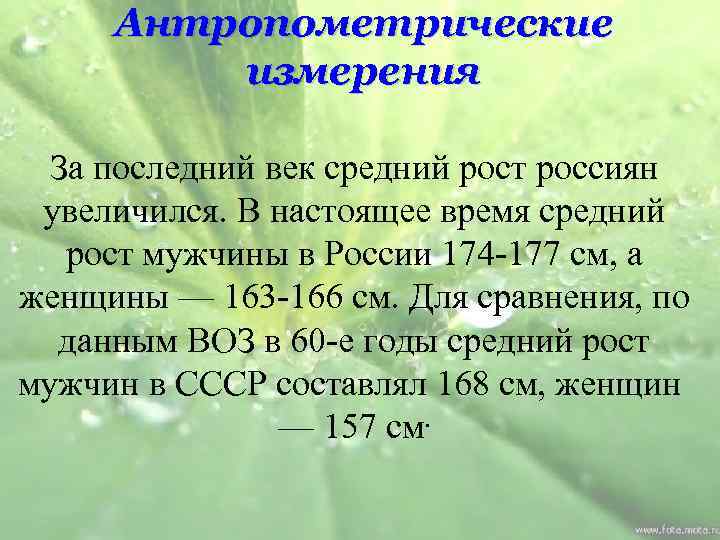 Антропометрические измерения За последний век средний рост россиян увеличился. В настоящее время средний рост