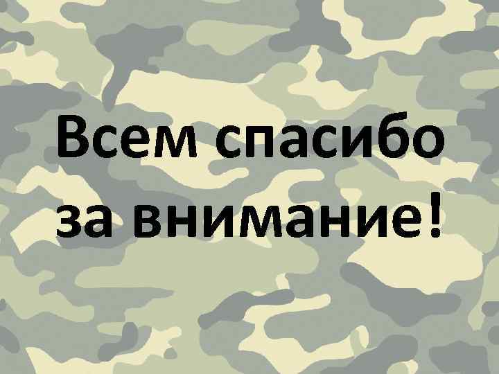 Всем спасибо за внимание! 