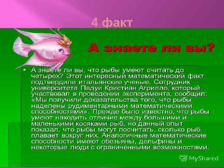 4 факт 