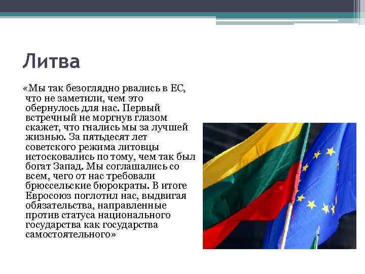 Литва «Мы так безоглядно рвались в ЕС, что не заметили, чем это обернулось для
