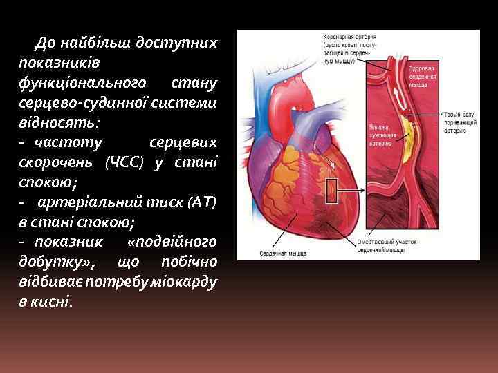До найбільш доступних показників функціонального стану серцево-судинної системи відносять: - частоту серцевих скорочень (ЧСС)