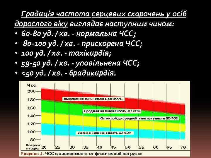 Градація частота серцевих скорочень у осіб дорослого віку виглядає наступним чином: • 60 -80
