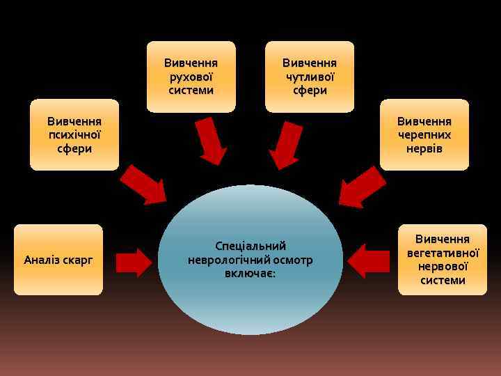 Вивчення рухової системи Вивчення чутливої сфери Вивчення психічної сфери Аналіз скарг Вивчення черепних нервів