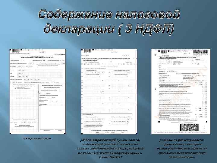 Содержание налоговой декларации ( 3 НДФЛ) титульный лист раздел, отражающий суммы налога, подлежащие уплате