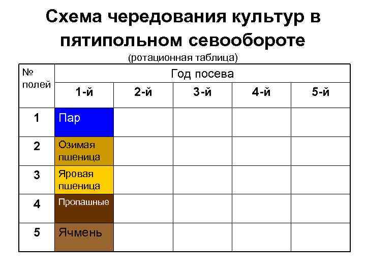 Севообороты в постоянных лесных питомниках - Оборудование для питомников, лесопи