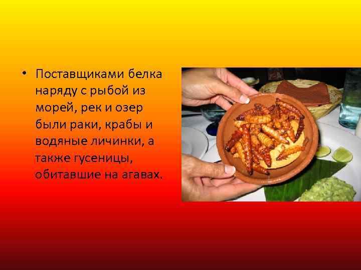  • Поставщиками белка наряду с рыбой из морей, рек и озер были раки,