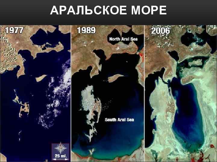 АРАЛЬСКОЕ МОРЕ 