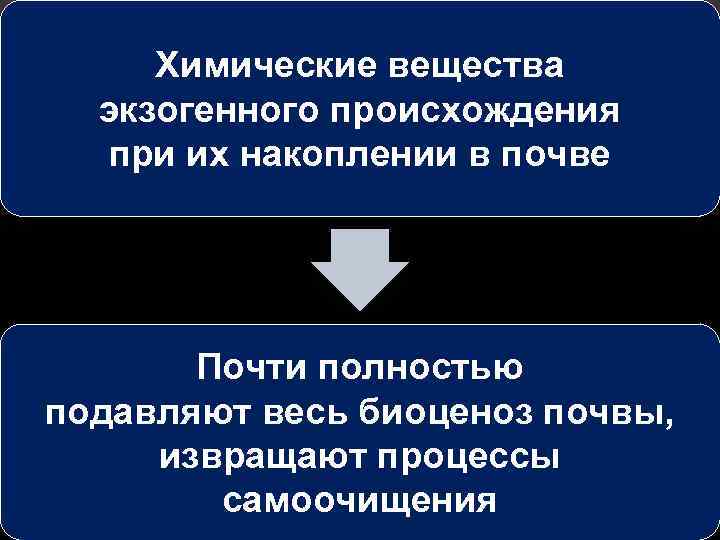 Химические вещества экзогенного происхождения при их накоплении в почве Почти полностью подавляют весь биоценоз